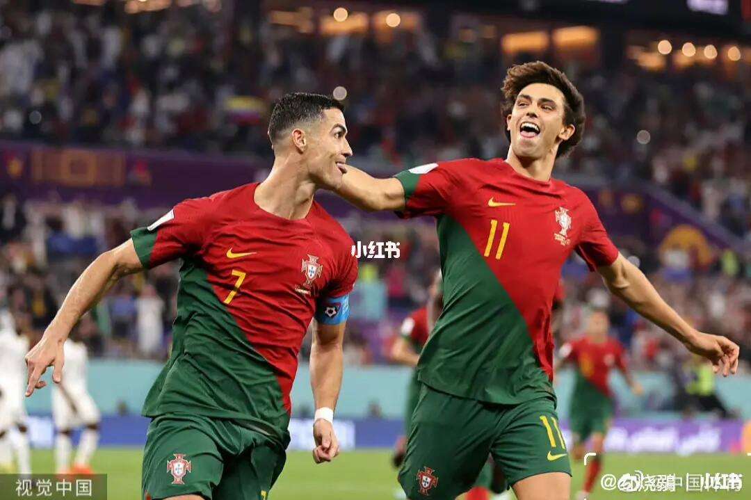 塞尔维亚队意气风发，实力喜人的简单介绍