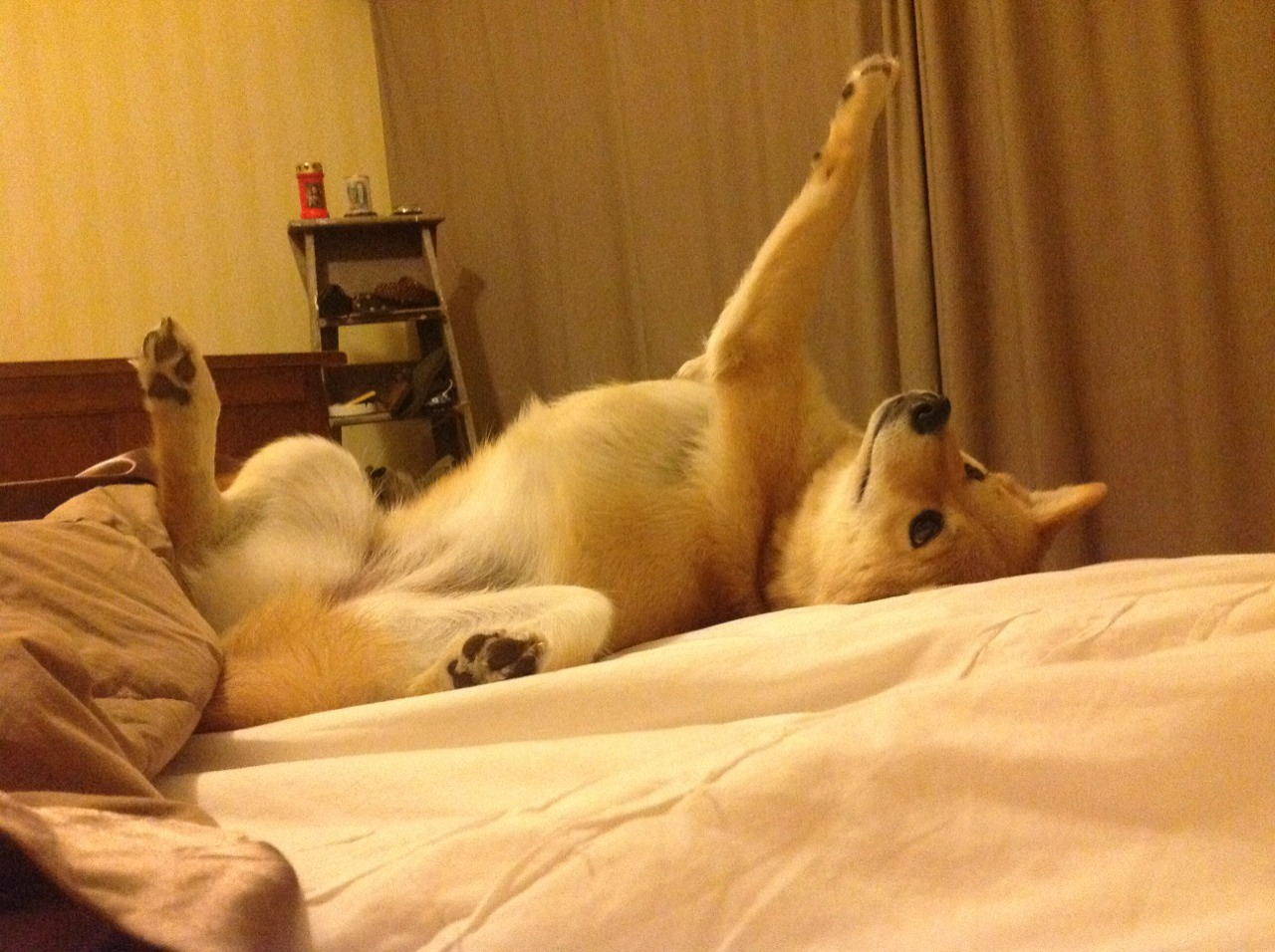 决胜时刻的两面，曼城团队制胜与东契奇个人英雄主义