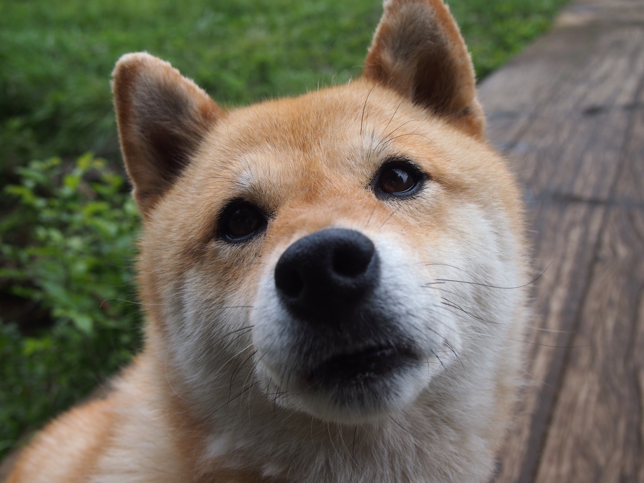 穆勒的绝唱与红黑的交响，当压制级发挥遇上卡塔尔制霸权