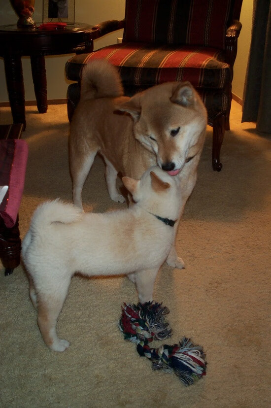 毕尔巴鄂一剑封喉！维尼修斯终场绝杀智利