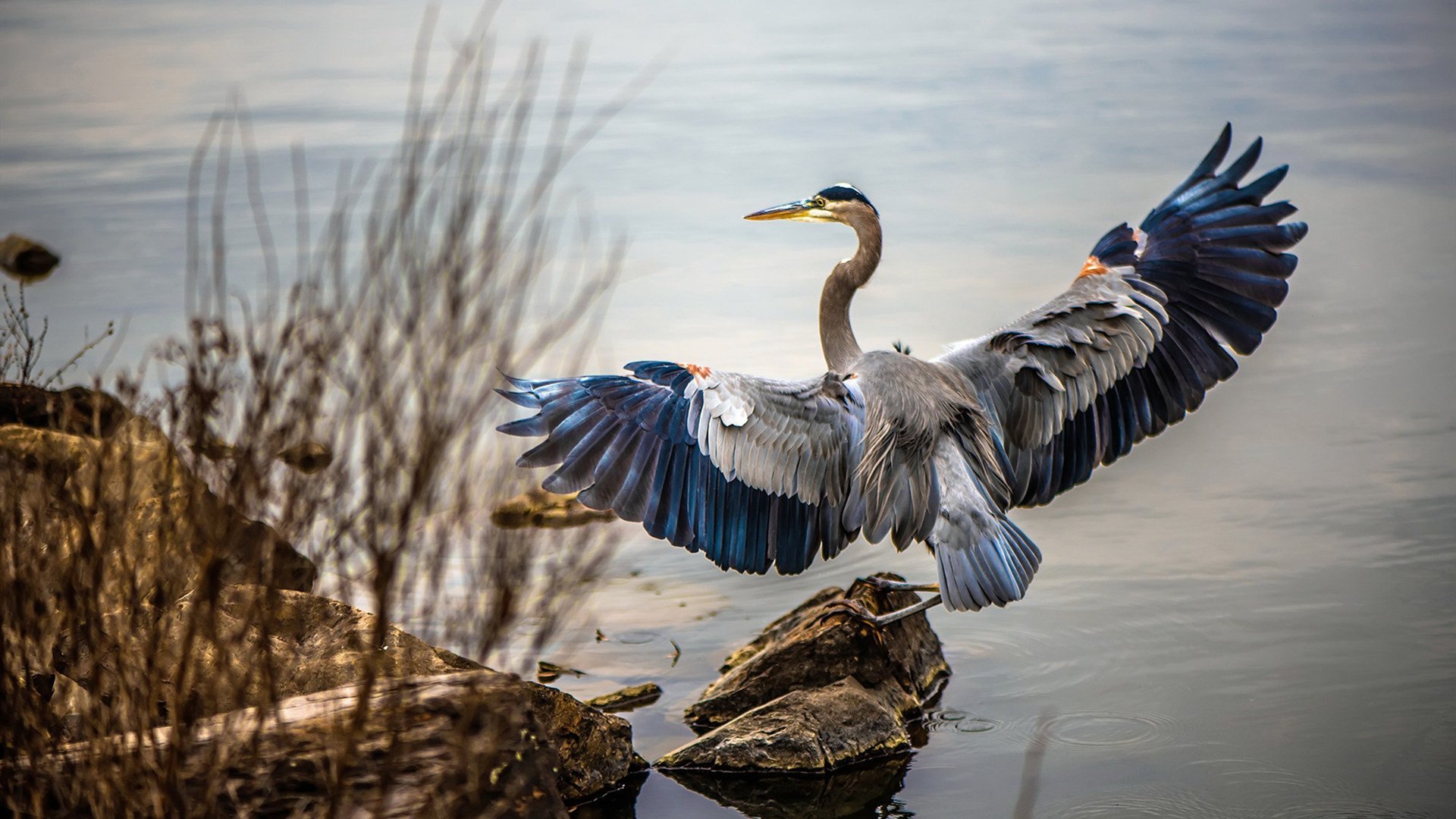 马克西狂轰55分闪耀中美对抗赛，辽宁队整体压制展东方力量