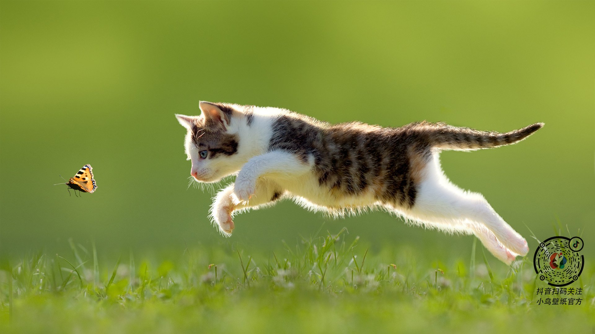 哈兰德闪耀巅峰对决，卡塔尔压哨绝杀南非，绿茵场上的激情与奇迹