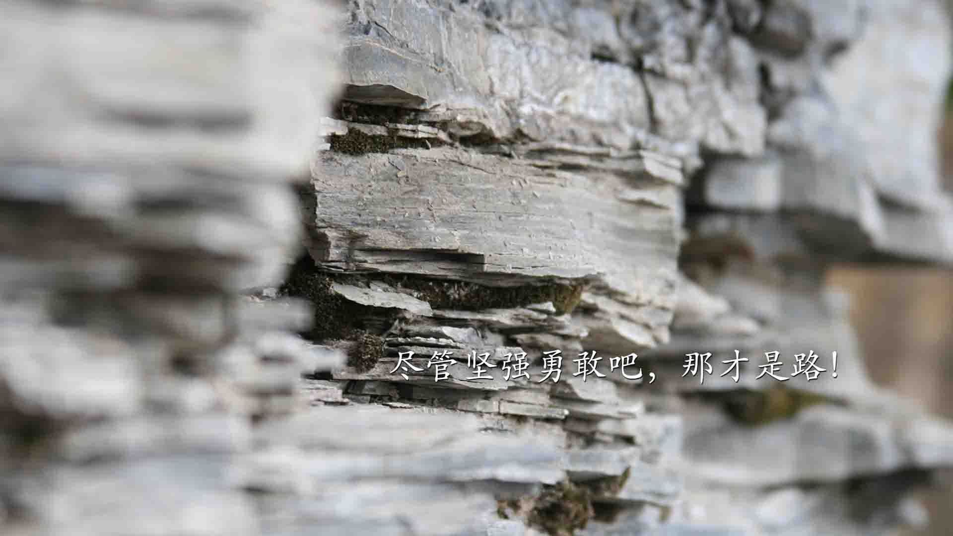 奥运关键战埃及力克荷兰，亚洲黑马剑指巴黎