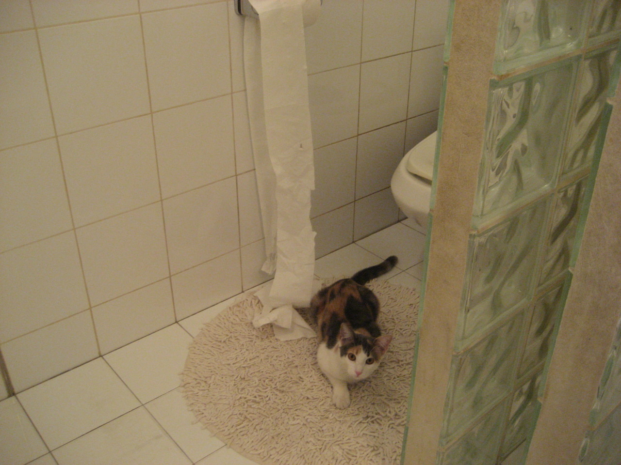 欧冠淘汰赛焦点战，勒沃库森横扫贝蒂斯，强势晋级