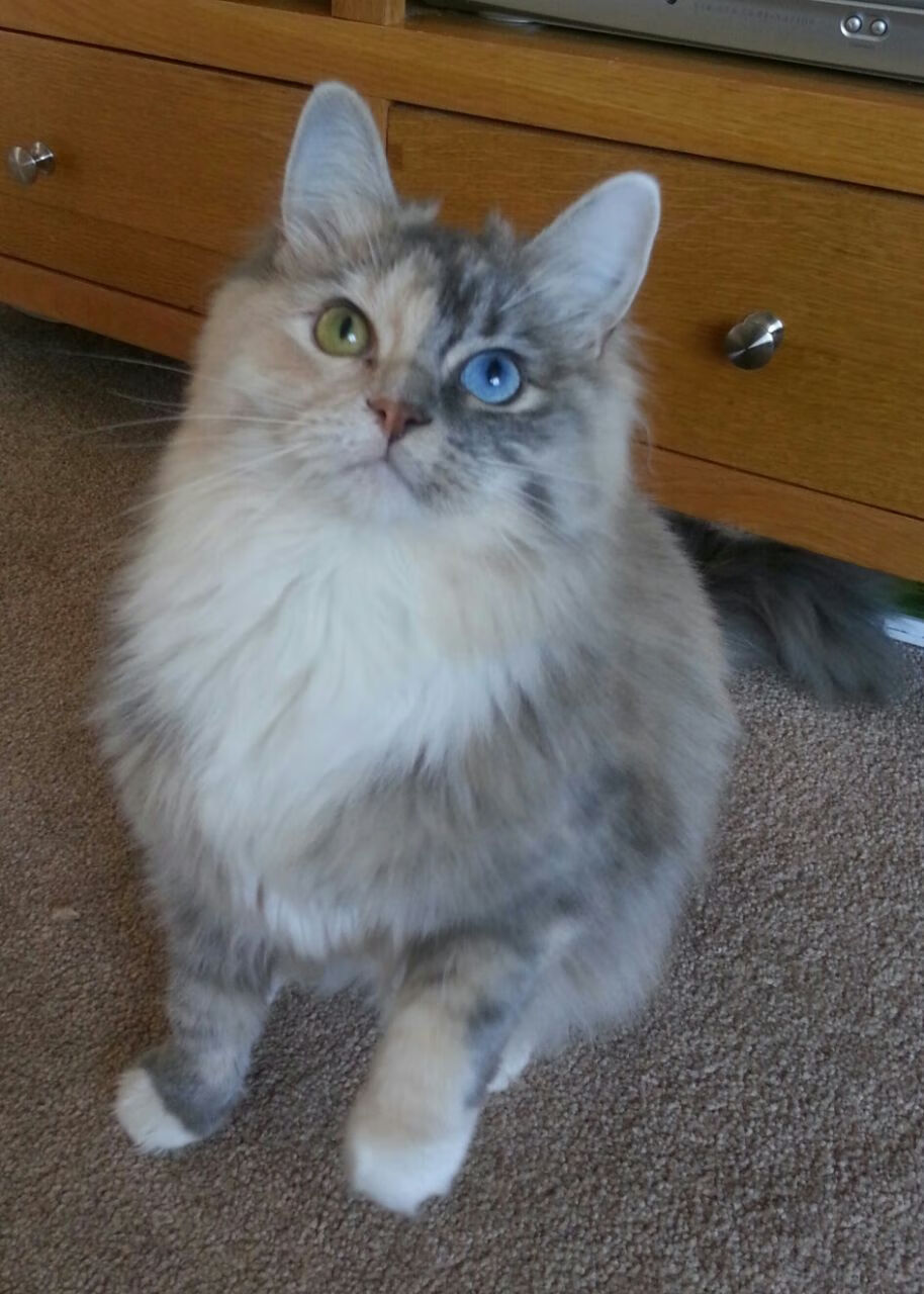 铁闸与尖刀,德里赫特统治攻防两端,巴萨客场险胜卡塔尔豪门