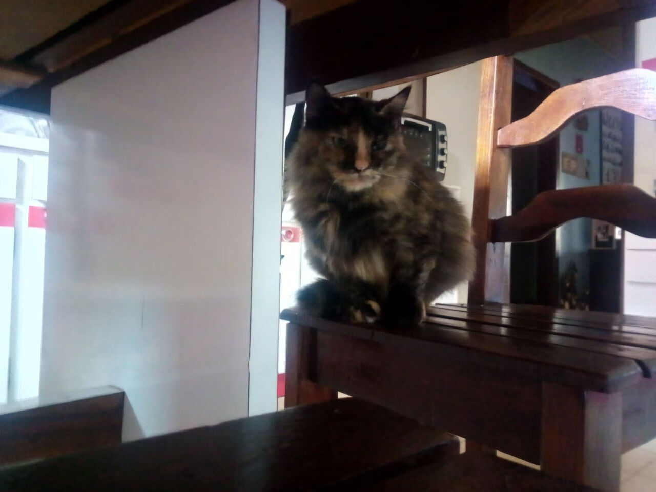 冷血一击,马克西扼杀掘金,雄鹿登顶联盟的致命绝杀