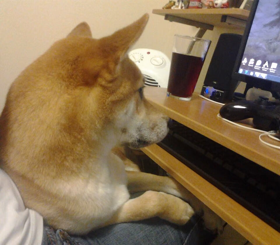 绝杀风暴，杰伦格林关键回合不手软，公牛力克快船