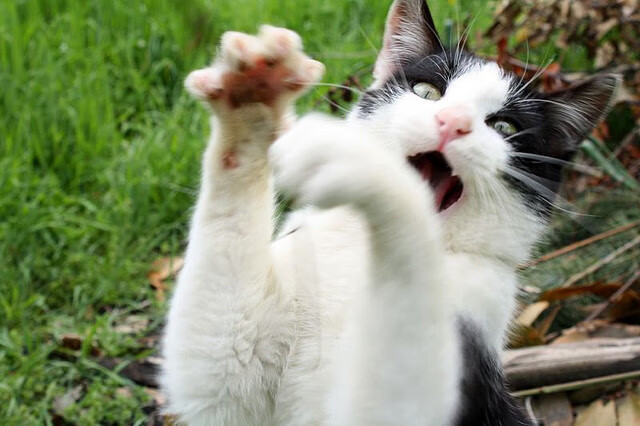 风暴夜里的双城记，当公牛制霸热火，武切维奇在彼岸接管比赛