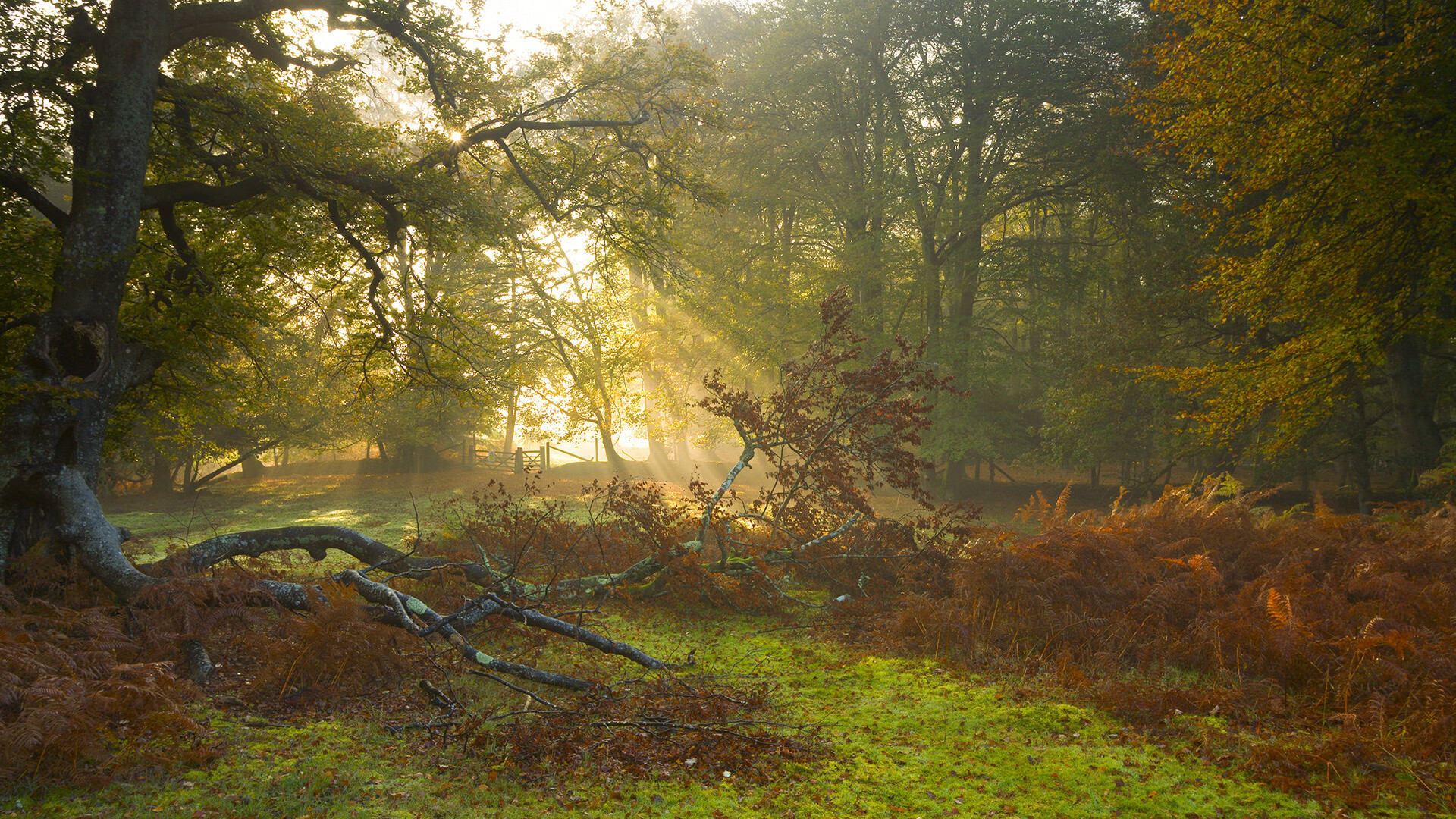 新生代的怒吼，当拉梅洛的魔法与马刺的洪流席卷联盟
